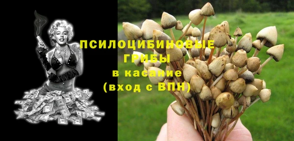 экстази Лагань